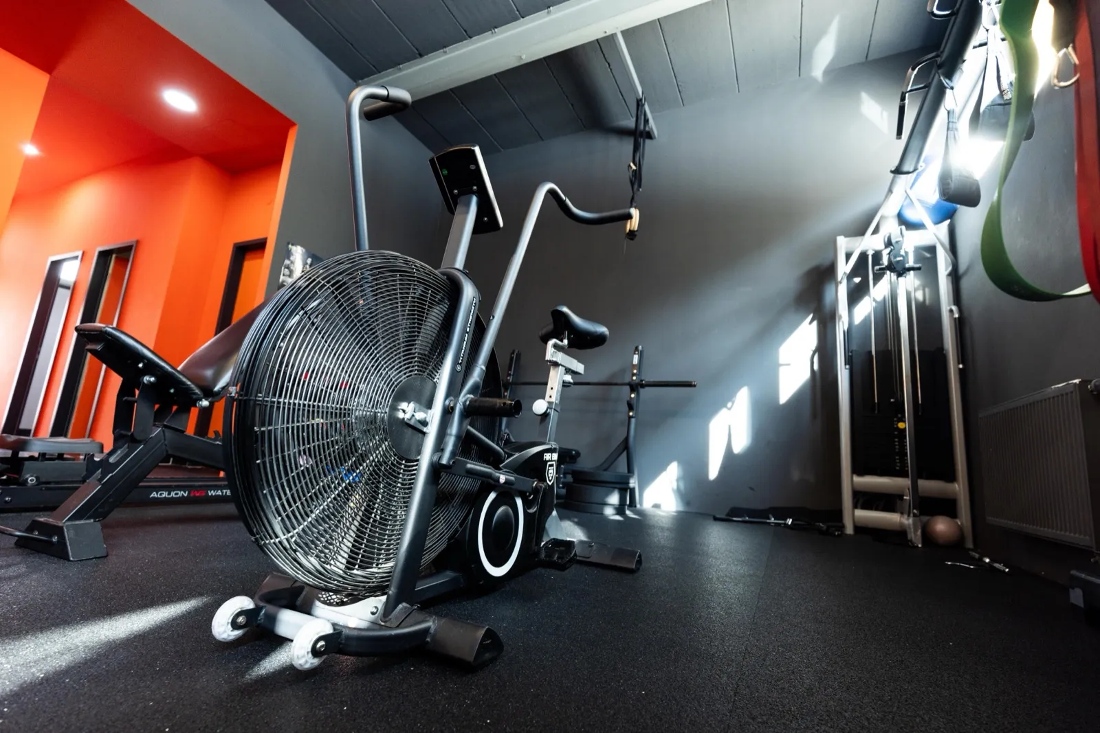 Cardio- und Kraftbereich