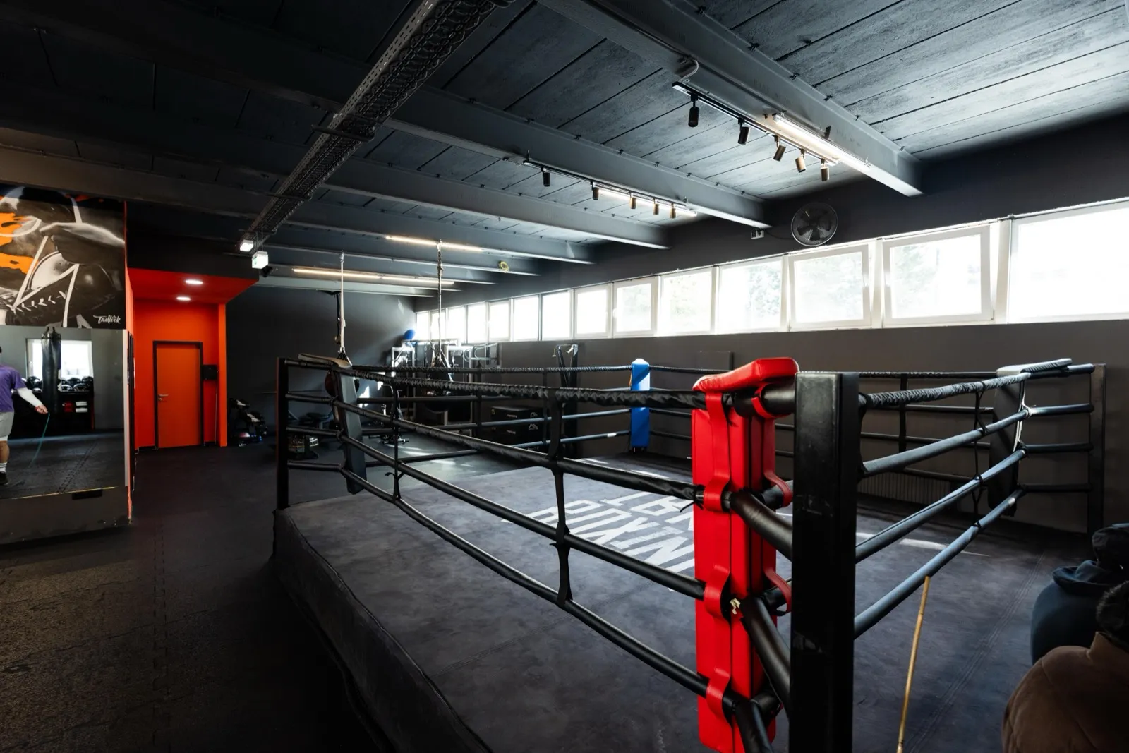 Boxring bei IBRA BOXING Frankfurt